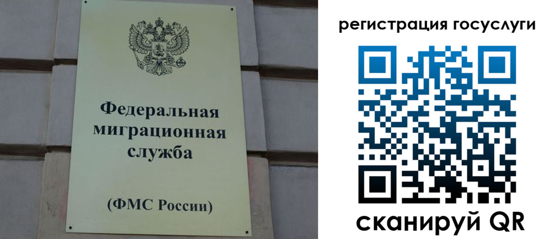 прописка поиск в Майкопе